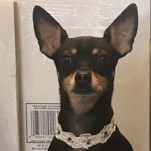 Meet your Posher, Carolyne